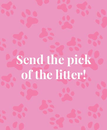 Send the pick of the litter!